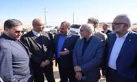 بازدید استاندار و نمایندگان کرمانشاه از بزرگترین مزرعه طلای سرخ
