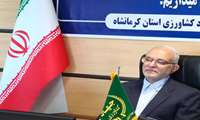  می بایست نگرش کشاورزان دیم کار نسبت به تولید در مزارع دیم تغییر کند