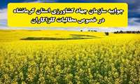 جوابیه سازمان جهاد کشاورزی استان کرمانشاه درباره پرداخت مطالبات کلزا کاران
