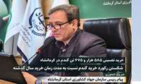شکستن رکورد خرید تضمینی گندم در  استان کرمانشاه نسبت به سال گذشته