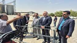   بازدید معاون وزیر جهاد کشاورزی از زنجیره تولید، فرآوری و بسته‌بندی بذر گندم گواهی‌شده بالادربند