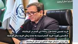 شکستن رکورد خرید تضمینی گندم در  استان کرمانشاه نسبت به سال گذشته
