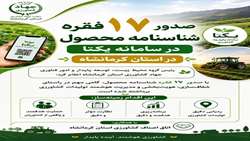 پیشتازی کرمانشاه در صدور شناسنامه محصولات کشاورزی