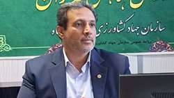 تاکنون ۲ هزار و ۵۰۰ هکتار سیب‌زمینی در استان کرمانشاه کشت شده است