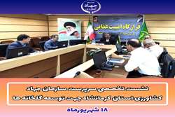 توسعه گلخانه ها برای استان یک ضرورت است
