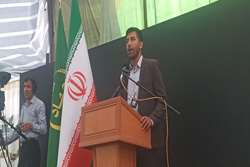 نخود یک فرصت برای اقتصاد استان کرمانشاه است/بایستی نخود را هم زیر چتر کشت قراردادی ببریم