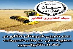 صدر نشینی شهرستان کنگاور در جذب تسهیلات خط 11 مکانیزاسیون  در استان