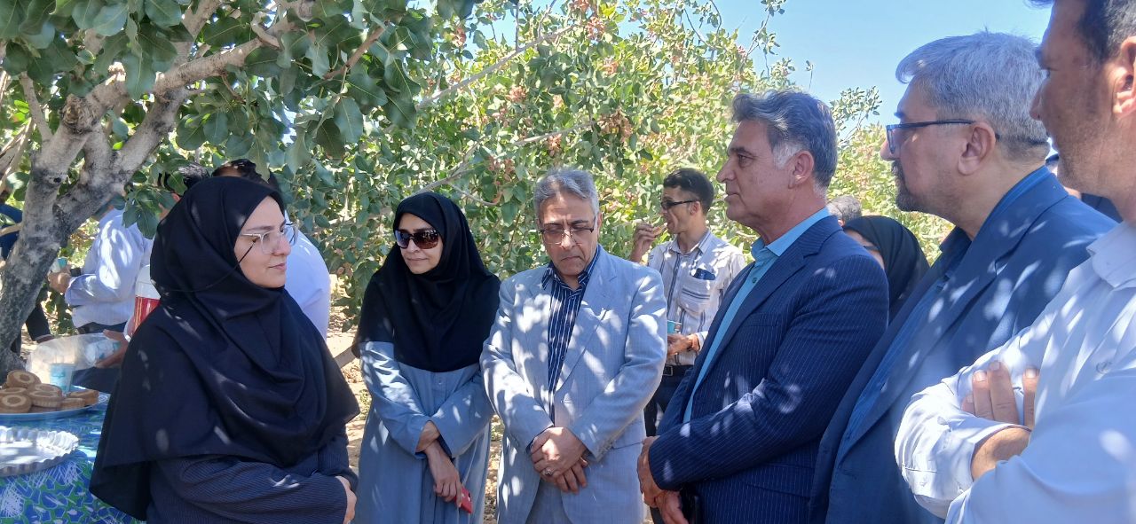 پایش مستمر عوامل خسارت‌زا و به‌کارگیری روش‌های کنترل علمی برای حفظ پایداری تولید باغات پسته