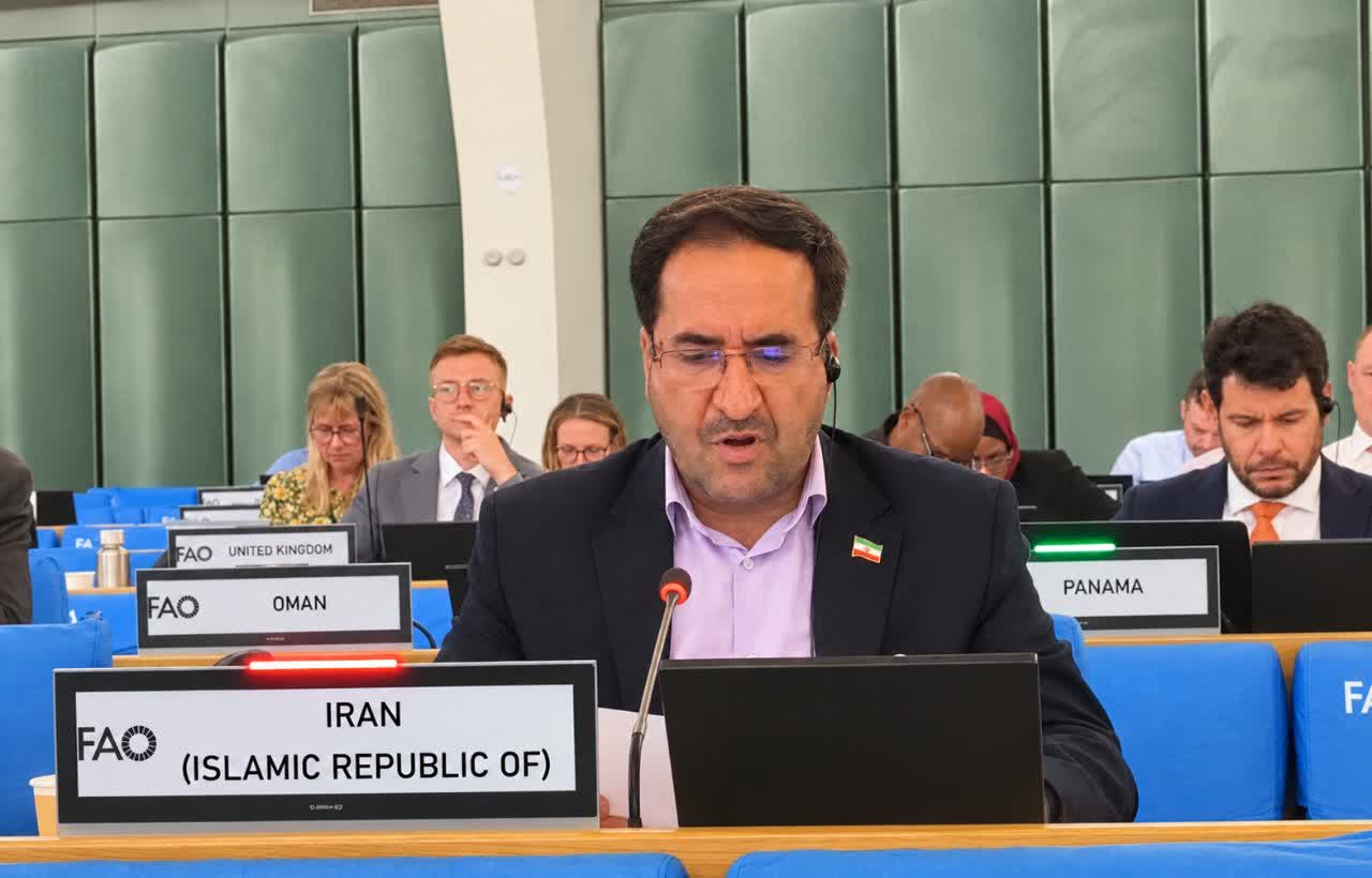 تأکید ایران بر تقویت تاب‌آوری جنگل‌های مناطق خشک