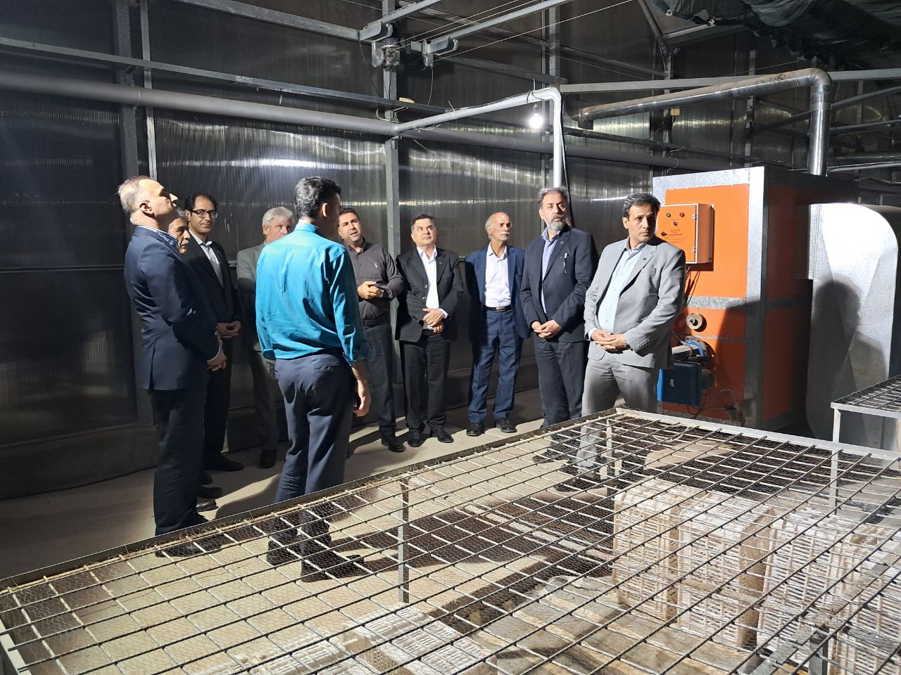 بازدید معاون زراعت وزارت جهاد کشاورزی از گلخانه تولید نشاء دشت سبز غرب