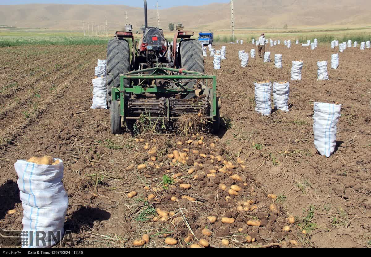 کرمانشاه با تولید ۵.۷میلیون تن محصول کشاورزی، تکیه گاه امنیت غذایی ایران
