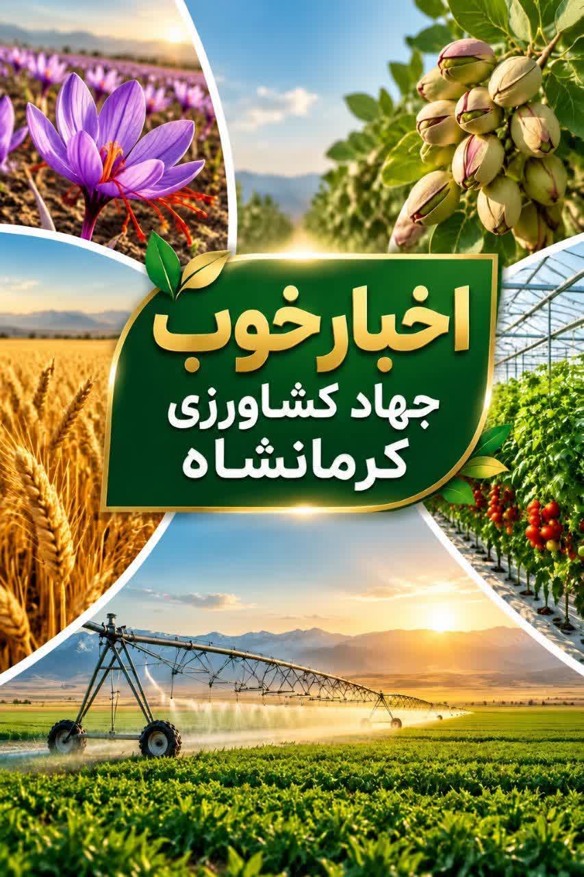 سرخط خبرهای سازمان جهاد کشاورزی کرمانشاه در هفته ای که گذشت