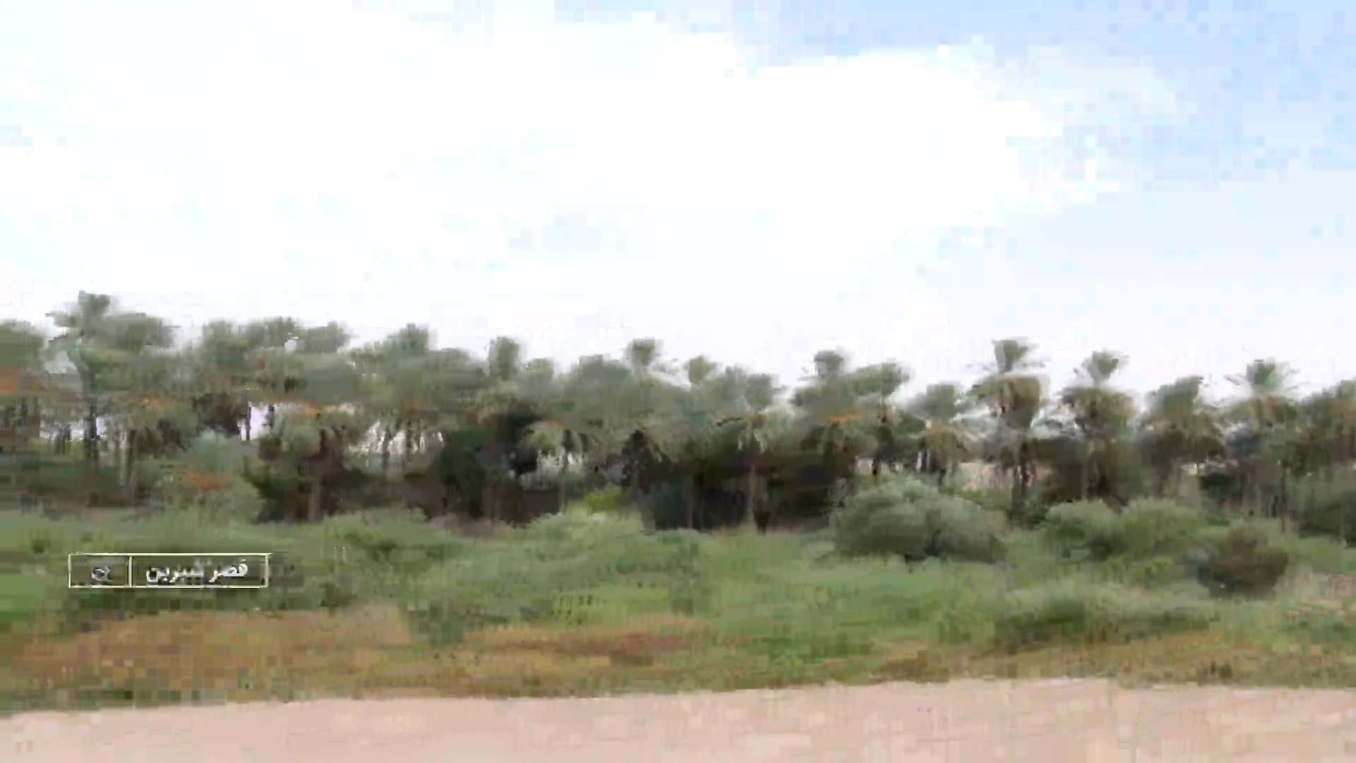 نخلستانهایی که در همسایگی کوههای زاگرس قد کشیده اند و دراقلیم چهار فصل کرمانشاه به بار نشسته اند.