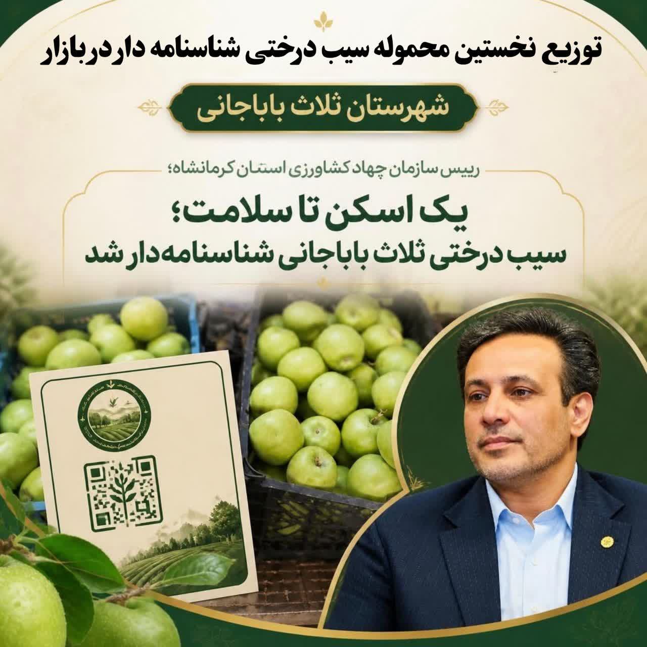  یک اسکن تا سلامت؛ سیب درختی ثلاث باباجانی شناسنامه‌دار شد/توزیع اولین محصول شناسنامه دار در بازار در نقطه صفر مرزی