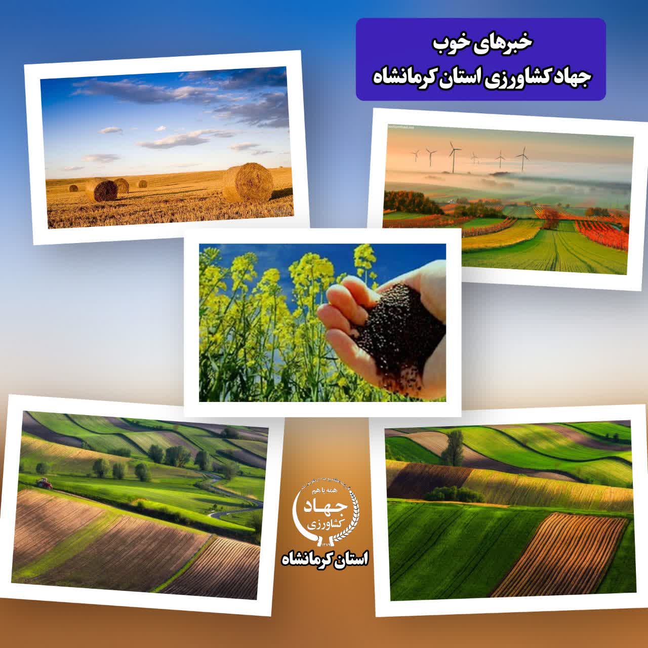 آنچه در هفته گذشته تیتر اخبار جهاد کشاورزی استان کرمانشاه شد