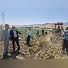  خبرهای سازمان جهاد کشاورزی کرمانشاه در هفته ای که گذشت